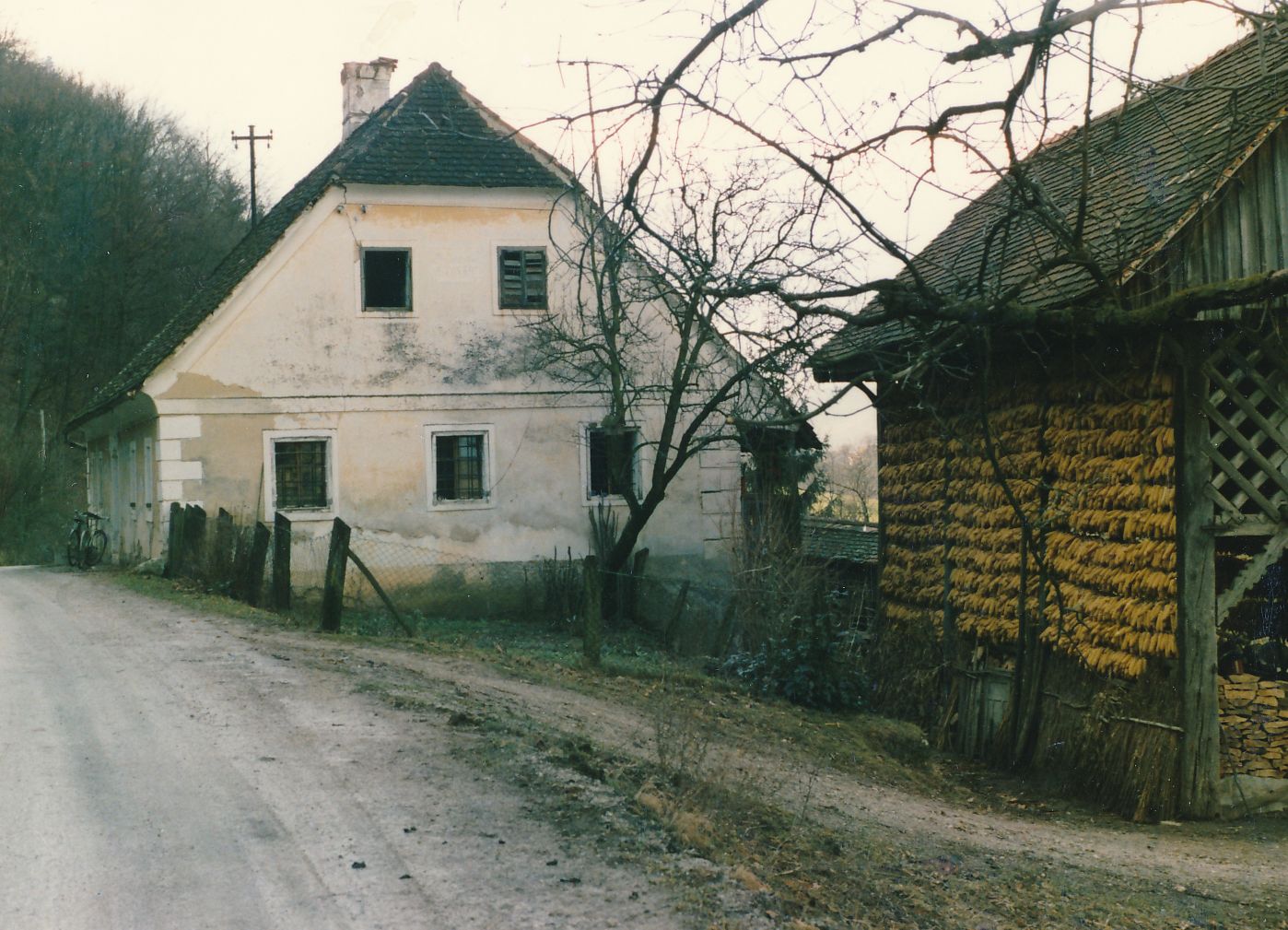 eika image
